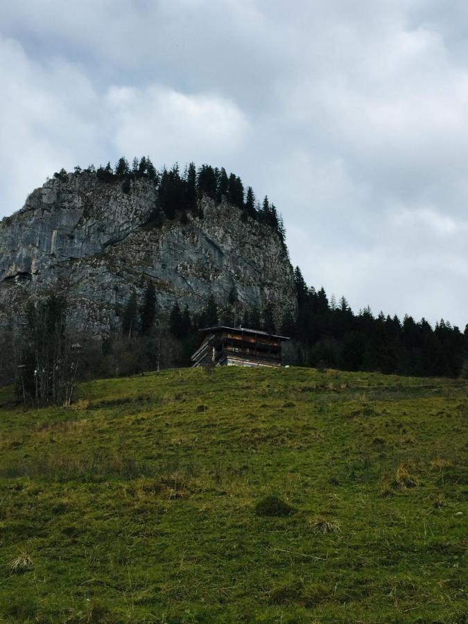 Apartment Ebnit Dornbirn Bagian luar foto
